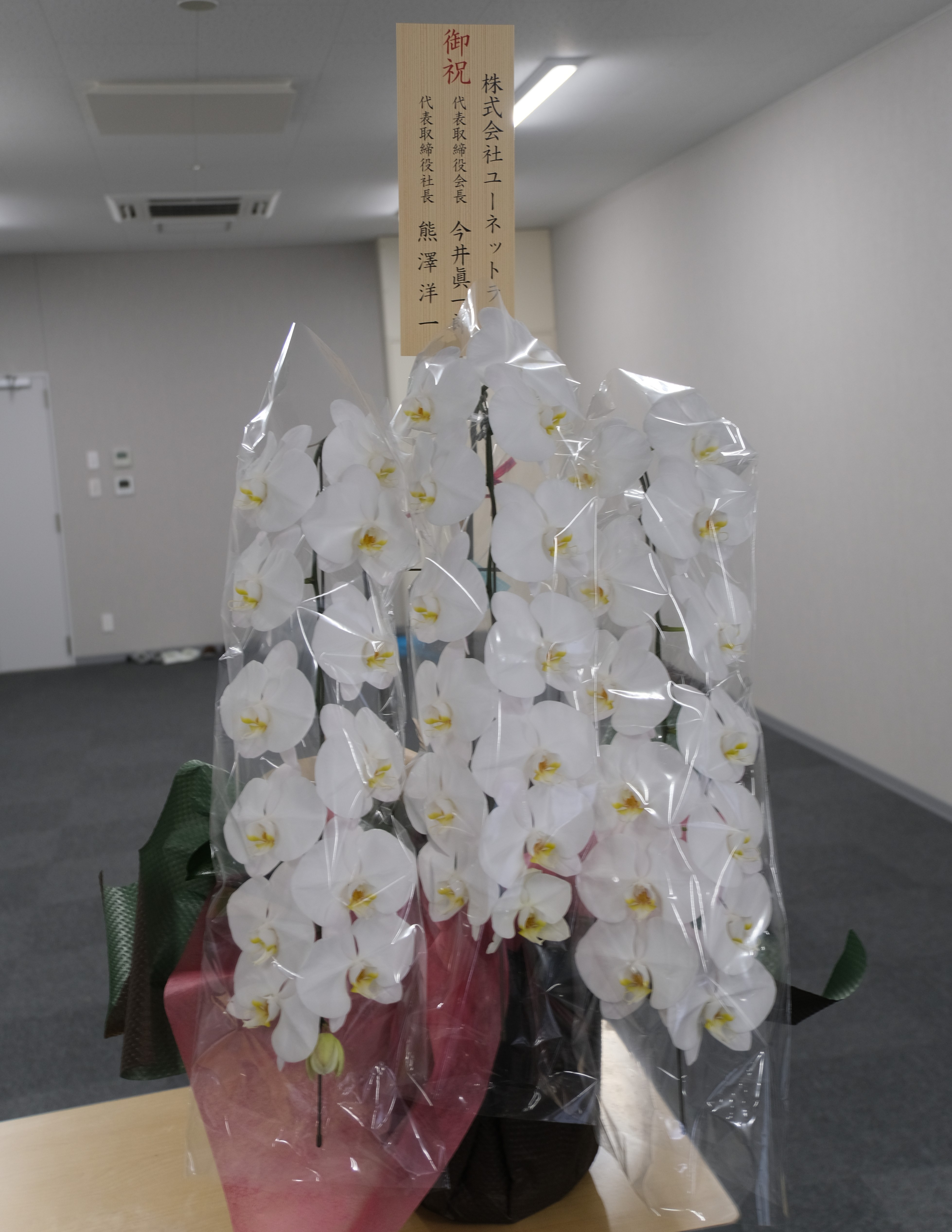 DSCF2194